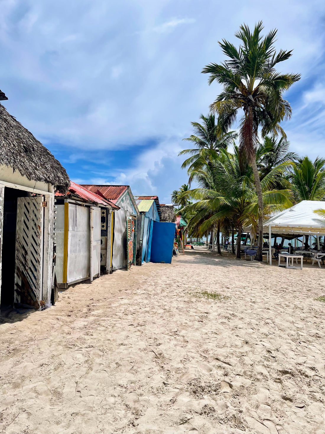 Dominicanismos We Love: The Words, Phrases & Inside Jokes That Keep Us Connected